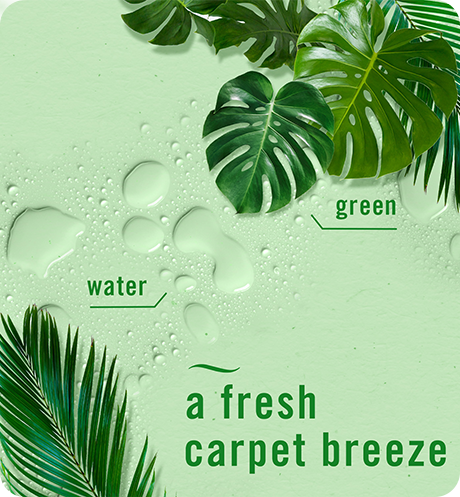 A fresh carpet breeze, green, water Carpet rainforest breeze scent