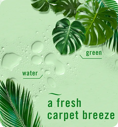 A fresh carpet breeze, green, water Carpet rainforest breeze scent