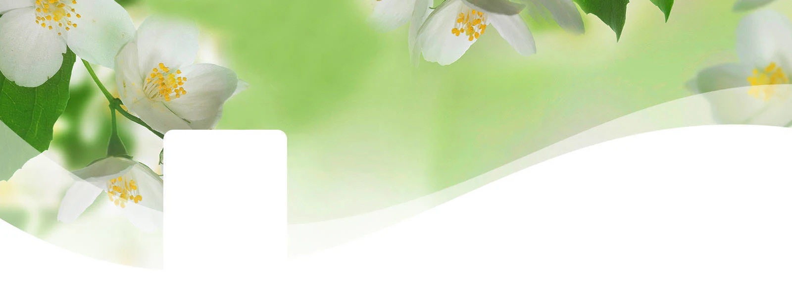 FB 0007 GainOriginal--Bground (1)