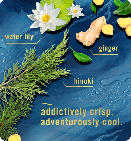 Addictively crisp, Adventurously cool. Water lily ginger hinoki.