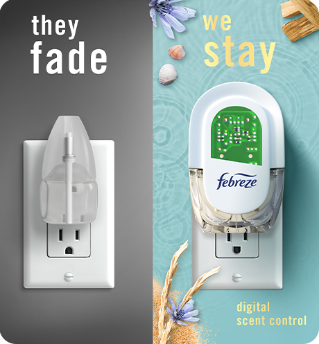 Plug Warm Ocean Breeze they fade, we stay.