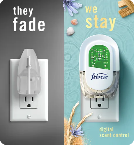 Plug Warm Ocean Breeze they fade, we stay.