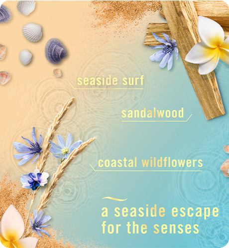 Scent Warm Ocean Breeze. Seaside surf, sandalwood, coastal wildflowers, a seaside escape for the senses.