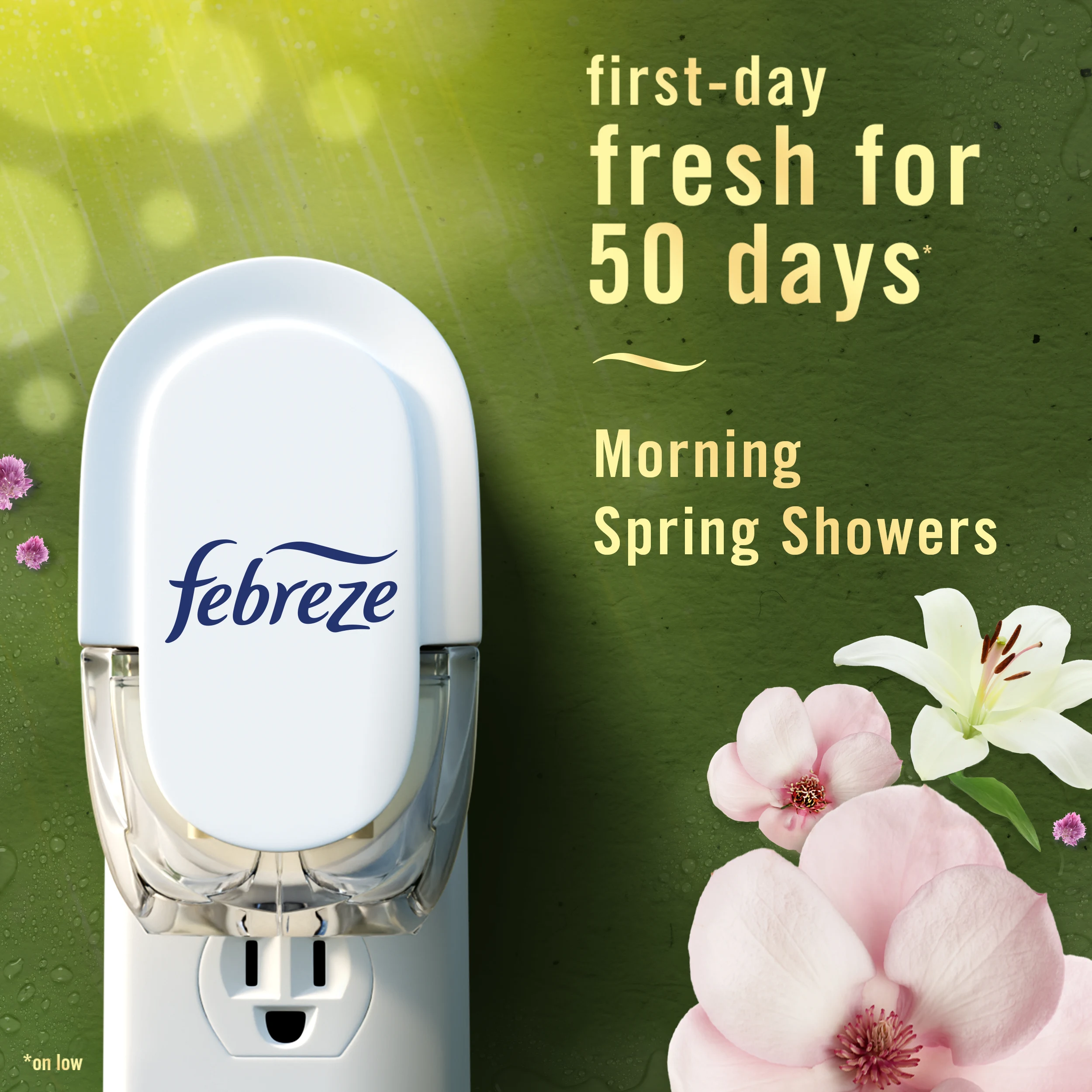 Plug Morning Spring Showers first-day fresh for 50 days.