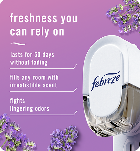 Plug twilight lavender freshness you can rely on. Lasts for 50 days without fading. Fills any room with irresistible scent. Fights lingering odors.