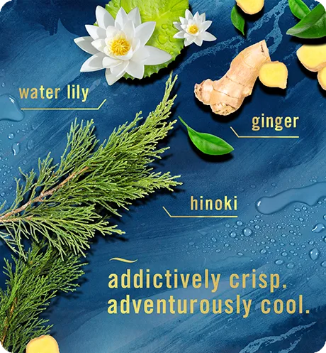 Water lily, ginger, hinoki. Addictively crisp, adventurously cool.