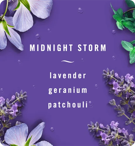 BrandcomCARScentMidnightStorm
