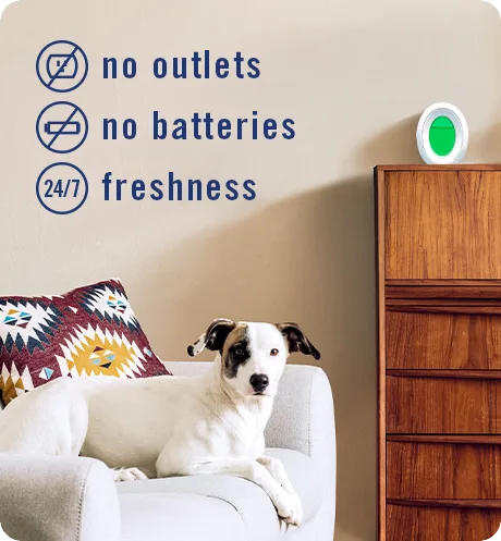 Pet Odor Fighter. No outlets, no batteries, 24/7 freshness
