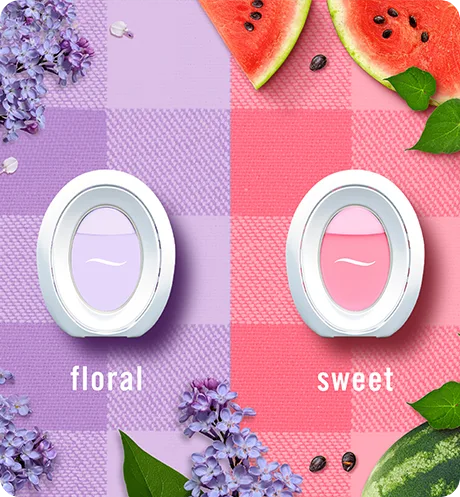 Spring Double Scent Pack BATHROOM | Febreze
