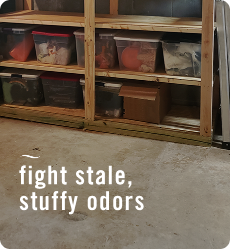 Musty Odor Fighter, fights stale, stuffy odors.