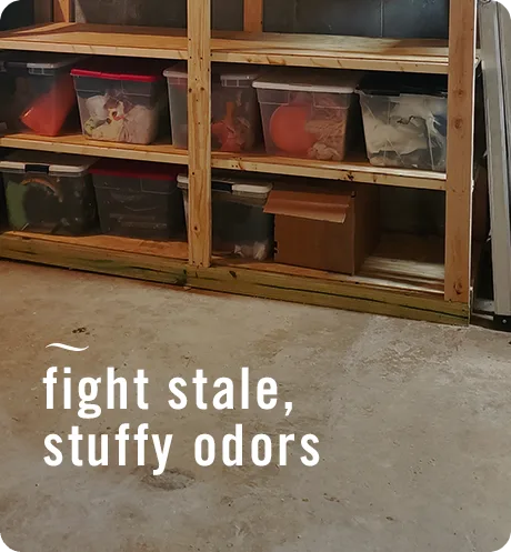 Musty Odor Fighter, fights stale, stuffy odors.