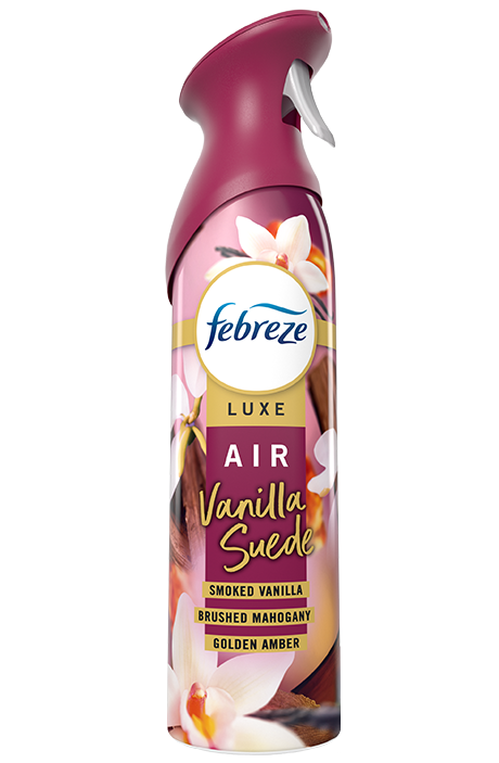 AIR Vanilla Suede product shot