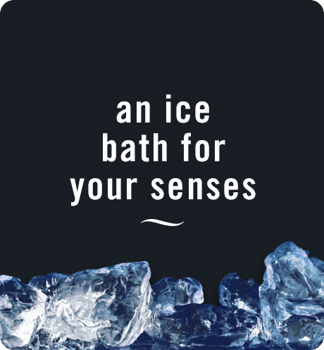 Platinum Ice Auto - An ice bath for your senses