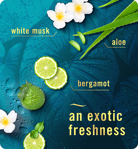 White musk. Aloe. Bergamot. An exotic freshness.