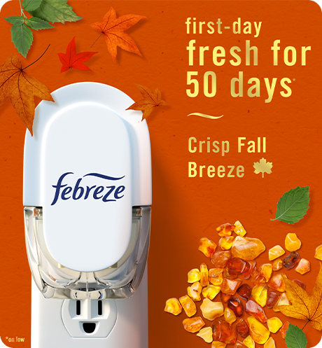 Plug Crisp Fall Breeze first-day fresh for 50 days.