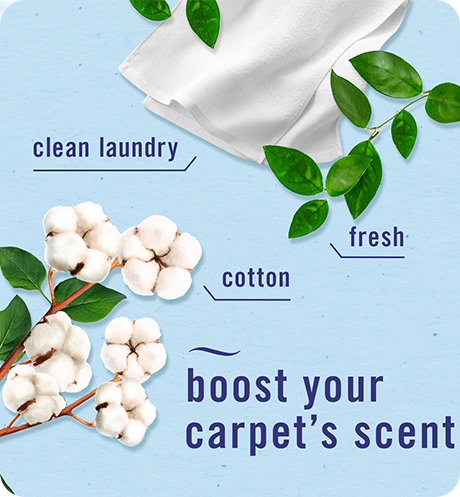 Boost your carpet's scent. Clean laundry, fresh, cotton. Carpet crisp-cotton scent