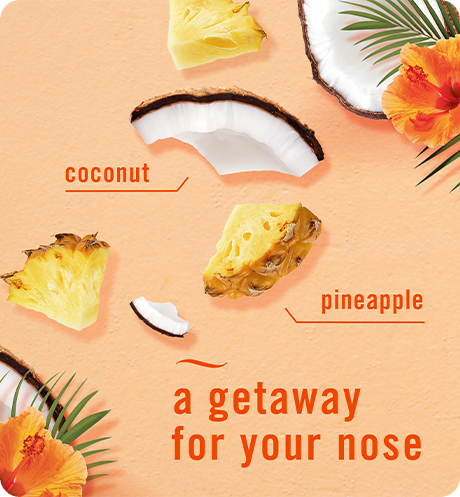 A getaway for your nose. Coconut. Pineapple.