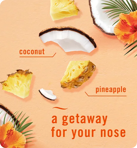 A getaway for your nose. Coconut. Pineapple.