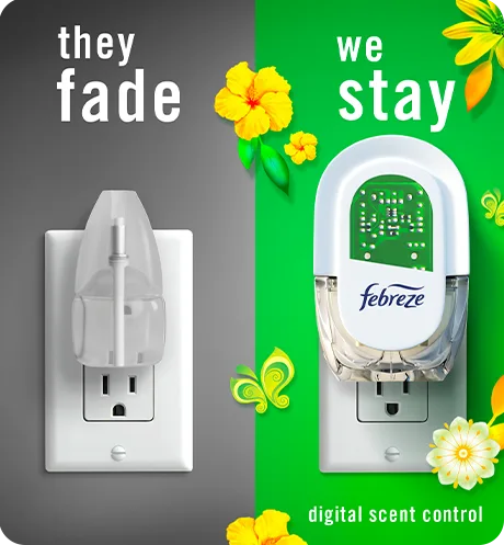 Plug gain-original, they fade, we stay.