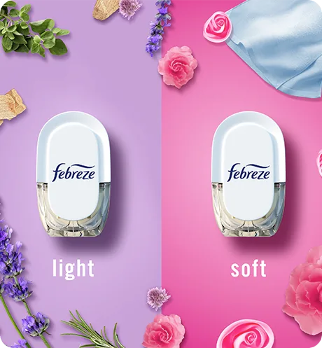 PLUG Laundry Double Scent Pack light & soft.