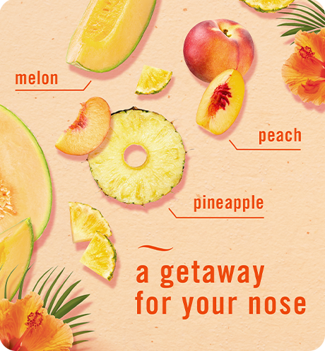 Hawaiian Aloha melon peach pineapple, a getaway for your nose.