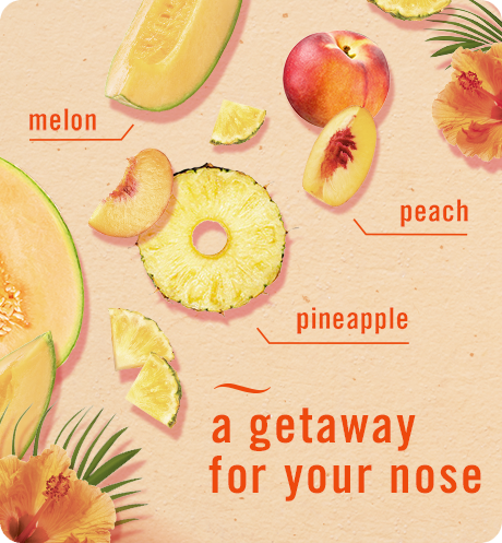 Hawaiian Aloha melon peach pineapple, a getaway for your nose.