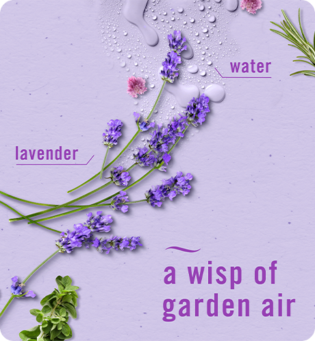 A wisp of garden air. Water, lavender.