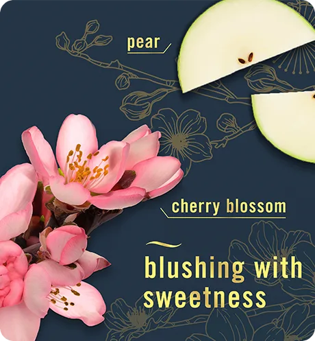 Japanese cherry blossom, pear, cherry blossom, blushing with sweetness