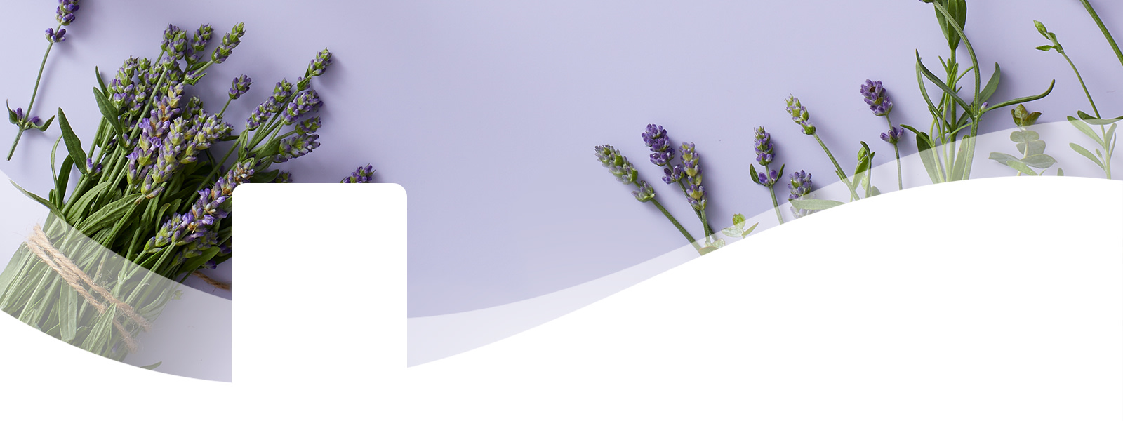 DT PDP Header Essentials Lavender REVISED