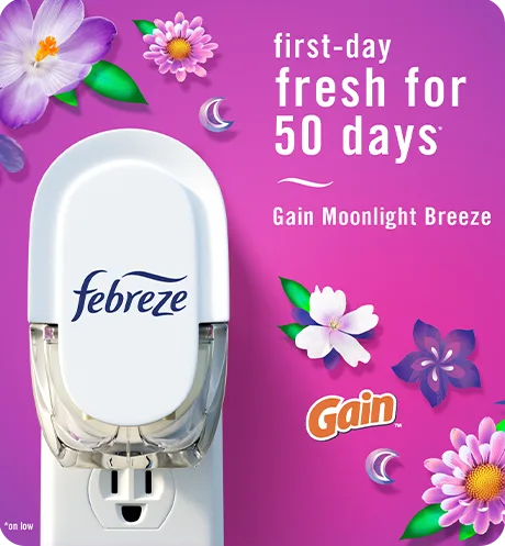 Plug Gain Moonlight Breeze first-day fresh for 50 days.