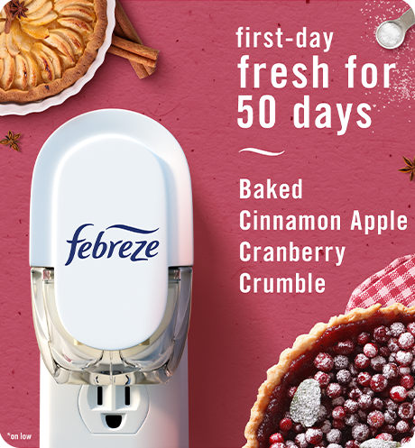 Plug Baked Cinnamon Apple first-day fresh for 50 days.