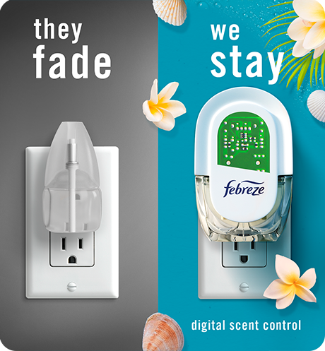 Plug bora bora, they fade, we stay.