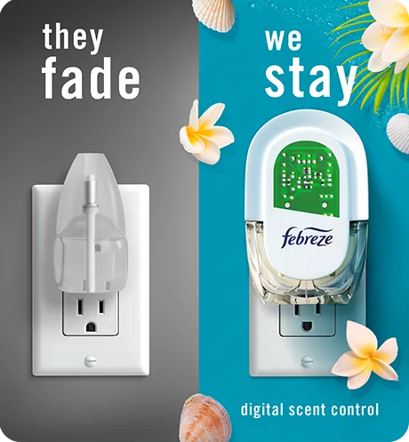 Plug bora bora, they fade, we stay.