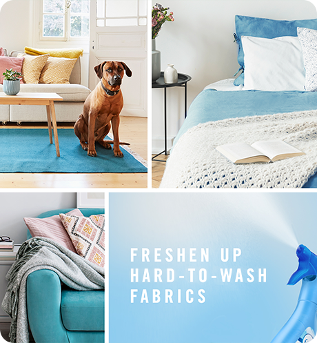 Clean Auto  Febreze FABRIC