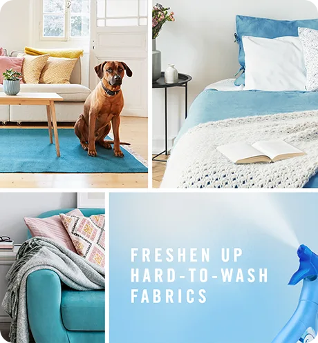 Freshen up hard-to-wash fabrics