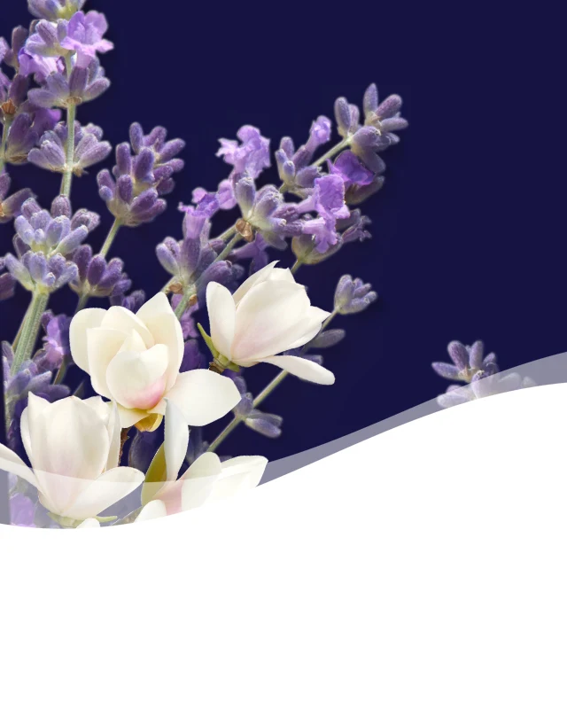 Downy Calm Scent SMALL SPACES Febreze