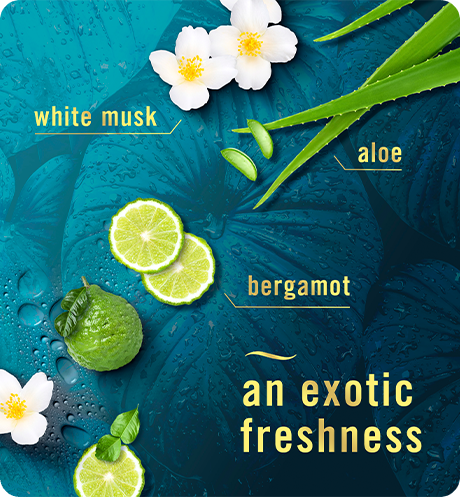 An exotic freshness. White musk, aloe, bergamot.