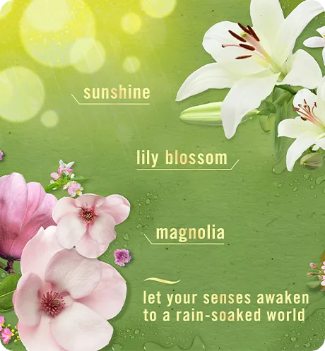 Scent Morning Spring Shower. Sunshine, lily blossom, magnolia, let your senses awaken to a rain-soaked world.