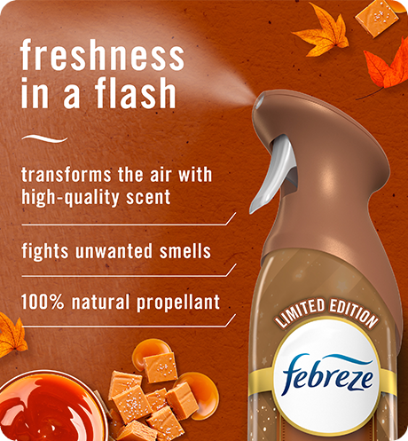 AIR Sea Salt Caramel & Maple freshness in a flash. Tranforms the air with high-quality scent, fights unwanted smells, 100% natural propellant.