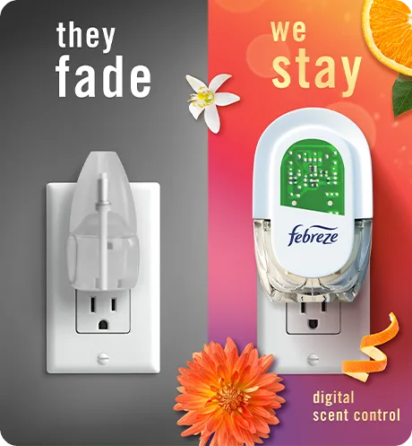  Side By Side brand comparision. Summer Golden Hour Plug, they fade, we stay.