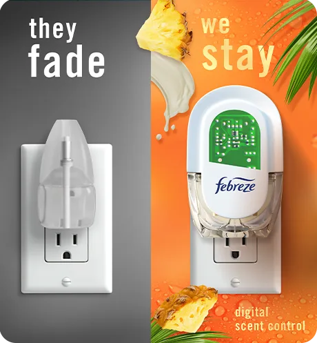 Plug tropical blend, they fade, we stay.