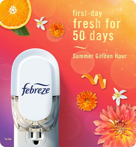 Plug Summer Golden Hour first-day fresh for 50 days.