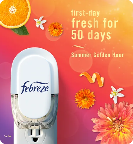 Plug Summer Golden Hour first-day fresh for 50 days.