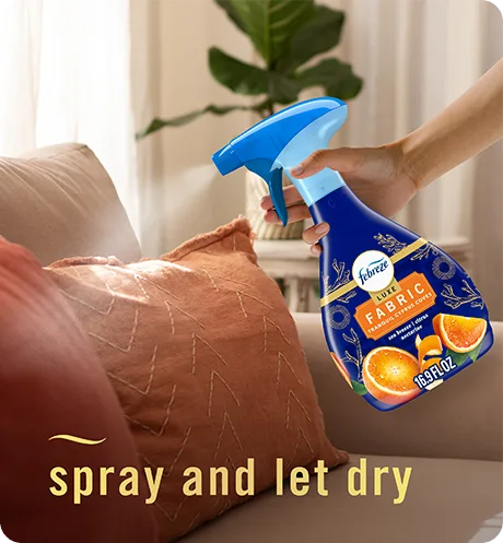 Febreze FABRIC Tranquil Cyprus Coves spray and let dry.