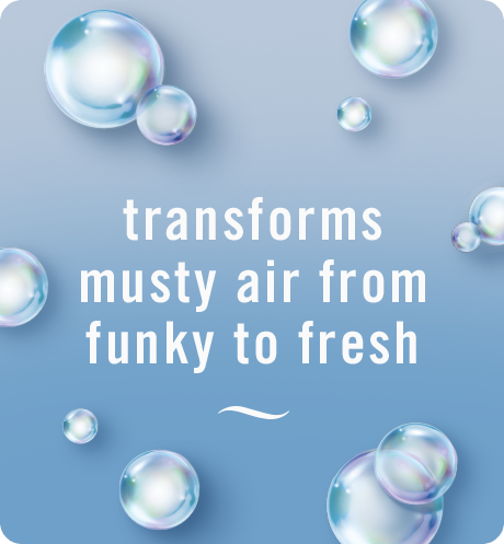 Musty Odor Fighter tranforms musty air from funky to fresh.