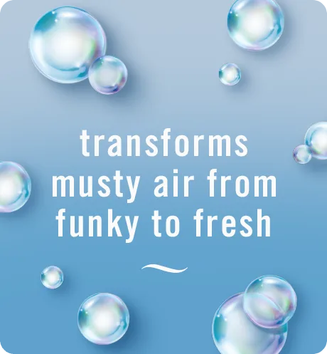 Musty Odor Fighter tranforms musty air from funky to fresh.