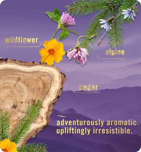 Adventurously aromatic, upliftingly irresistible. Wildflower, alpine, cedar.