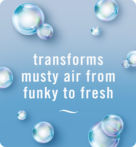 Transforms musty air from funky to fresh.