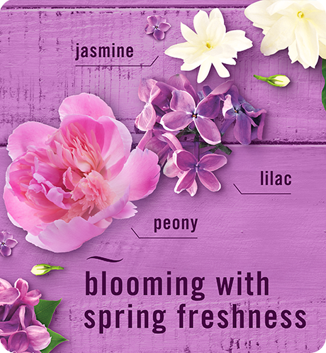 Plug lilac sunrise blooming with spring freshenss, jasmine, lilac, peony.