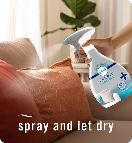 FABRIC Heavy Duty spray and let dry.